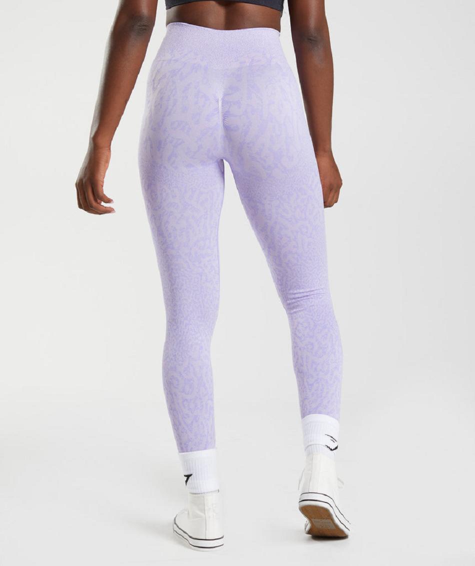 Leggins Gymshark Adapt Animal Seamless Mujer Moradas | CO 2813GSO